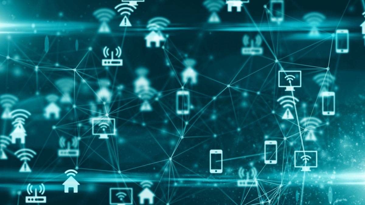 Network Setup and Management: Building and Maintaining Connectivity